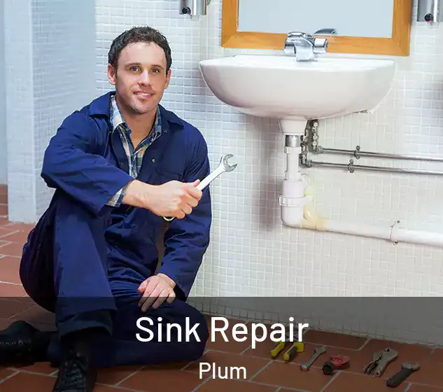  Sink Repair Plum