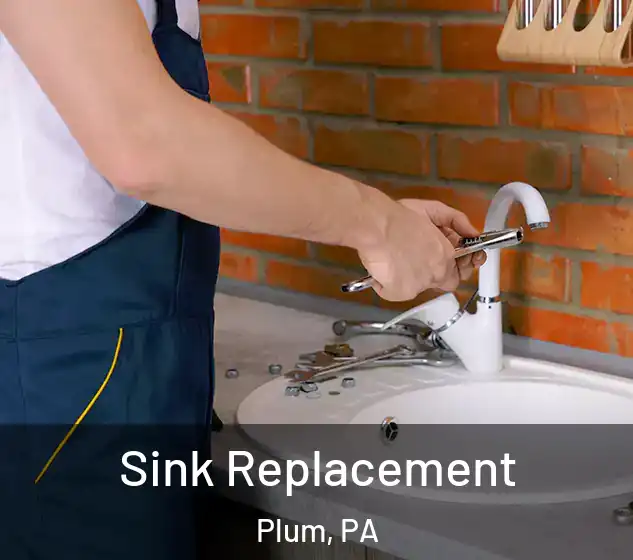  Sink Replacement Plum, PA