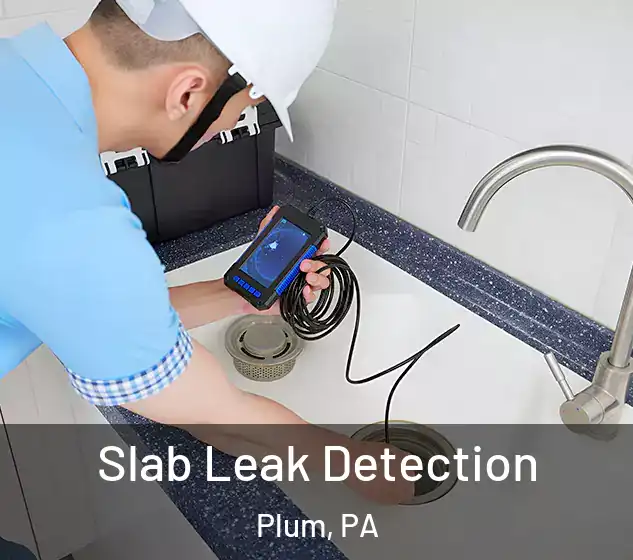  Slab Leak Detection Plum, PA