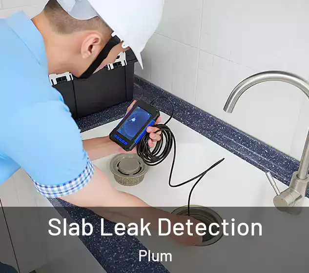  Slab Leak Detection Plum