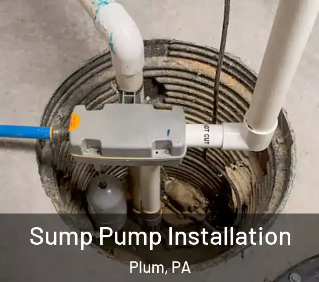  Sump Pump Installation Plum, PA