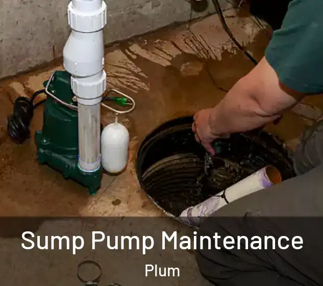  Sump Pump Maintenance Plum