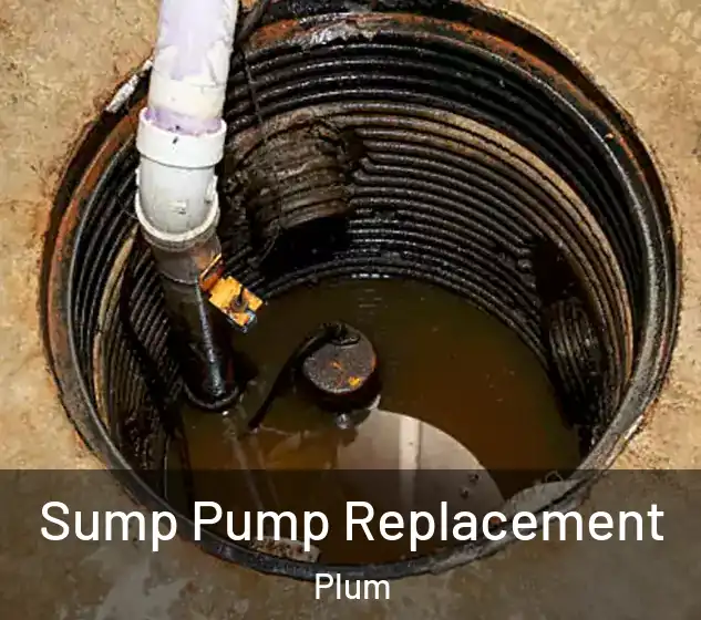  Sump Pump Replacement Plum