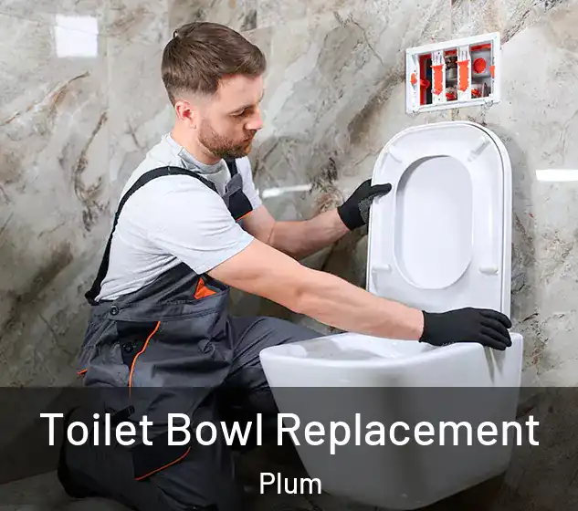  Toilet Bowl Replacement Plum