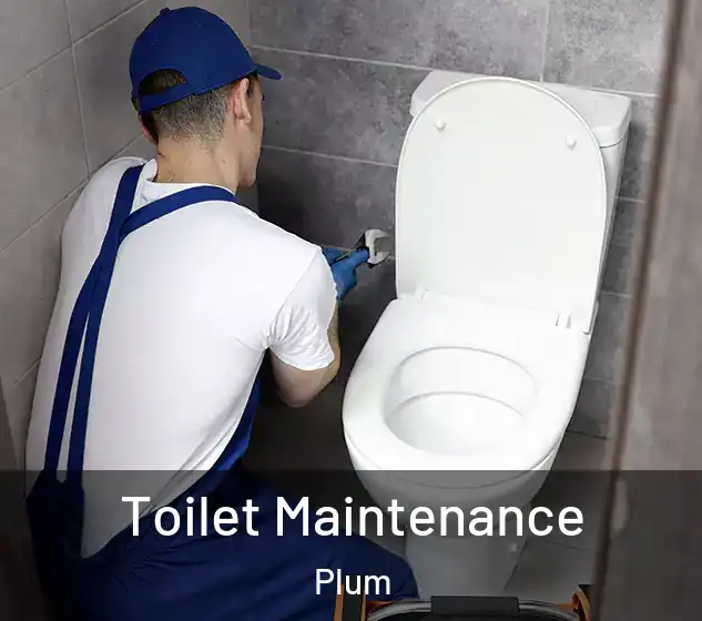  Toilet Maintenance Plum