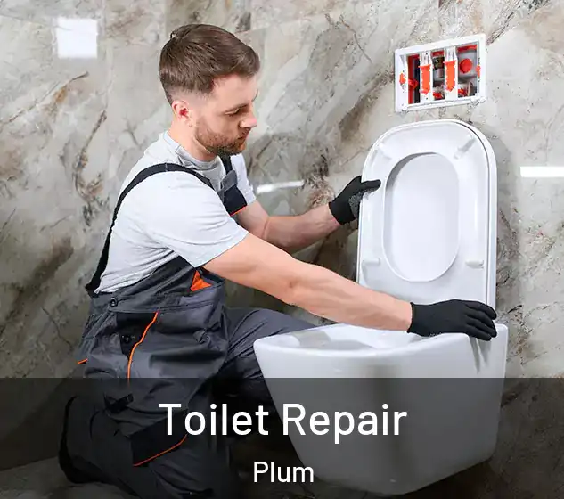  Toilet Repair Plum