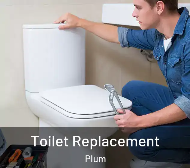  Toilet Replacement Plum
