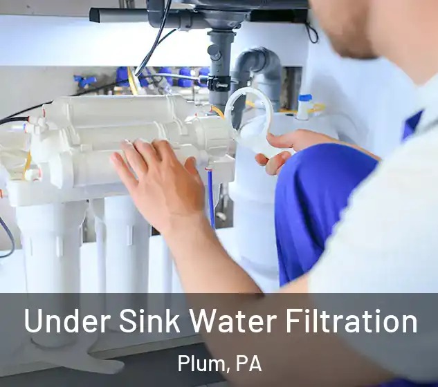  Under Sink Water Filtration Plum, PA