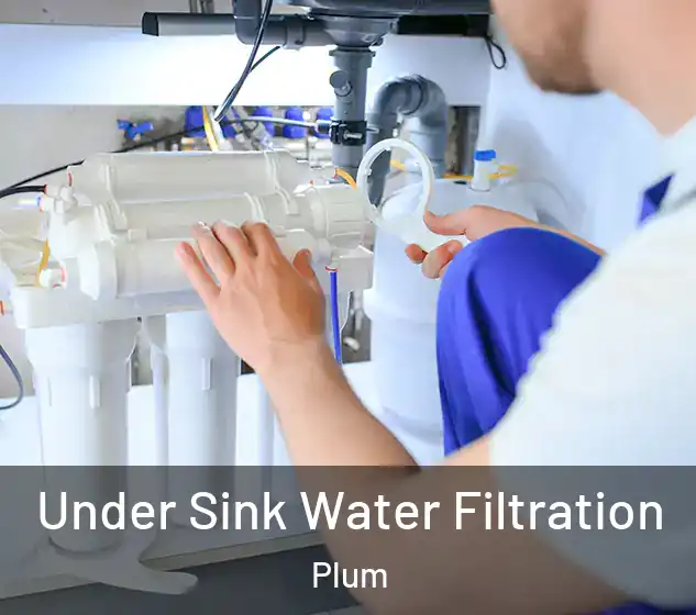  Under Sink Water Filtration Plum