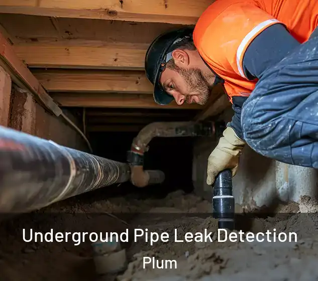  Underground Pipe Leak Detection Plum