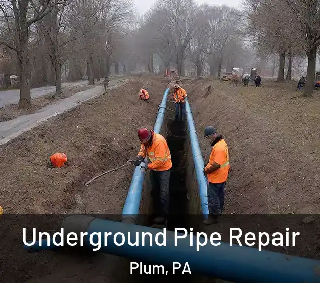 Underground Pipe Repair Plum, PA