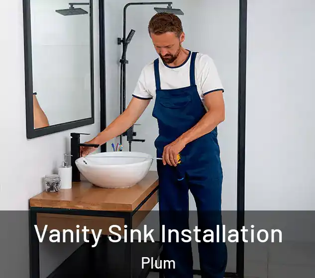  Vanity Sink Installation Plum