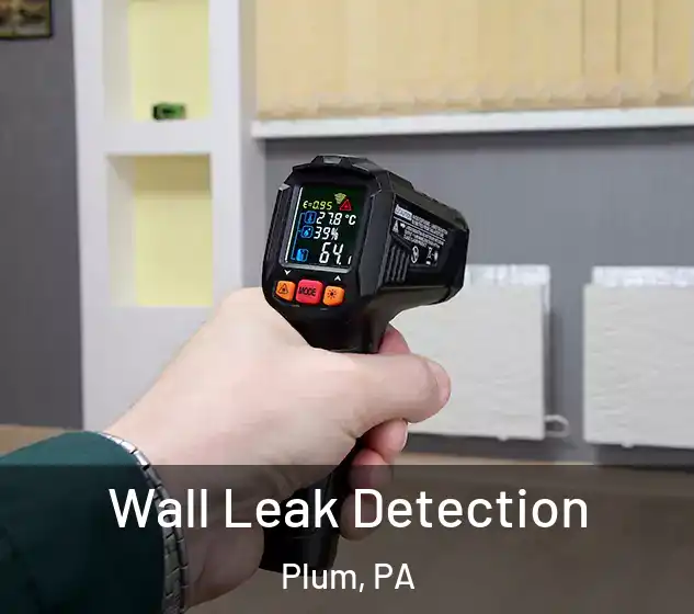  Wall Leak Detection Plum, PA
