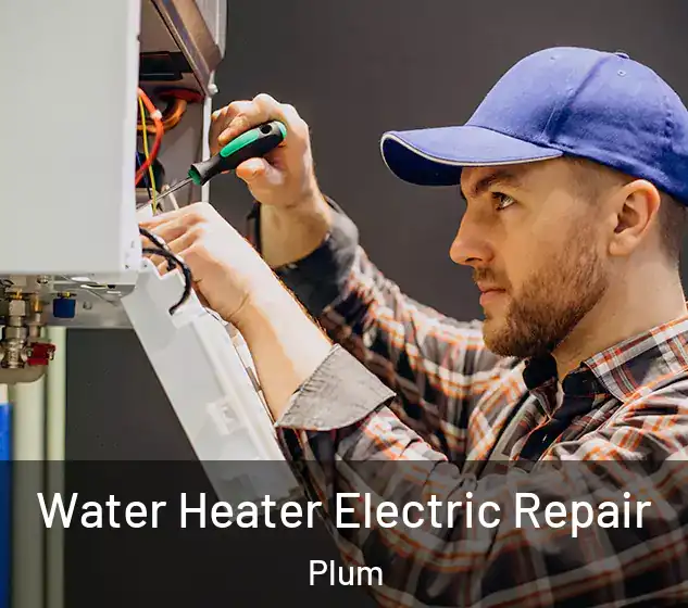  Water Heater Electric Repair Plum