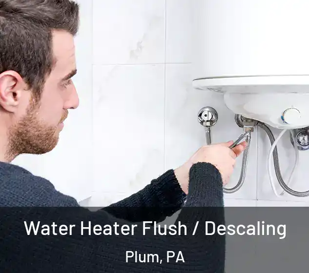  Water Heater Flush / Descaling Plum, PA