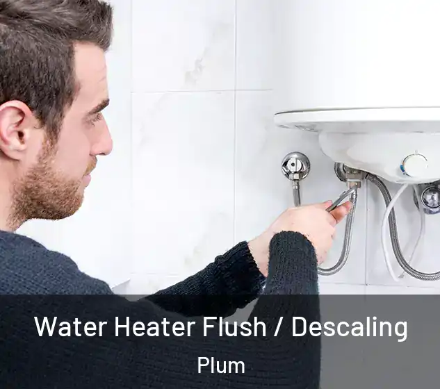  Water Heater Flush / Descaling Plum