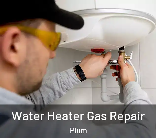  Water Heater Gas Repair Plum