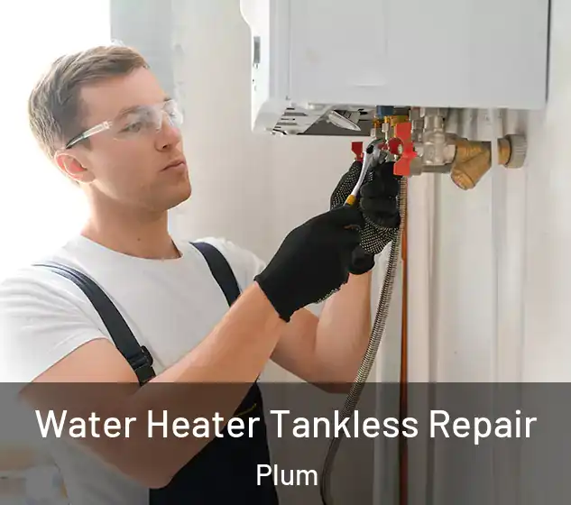  Water Heater Tankless Repair Plum