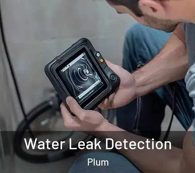  Water Leak Detection Plum