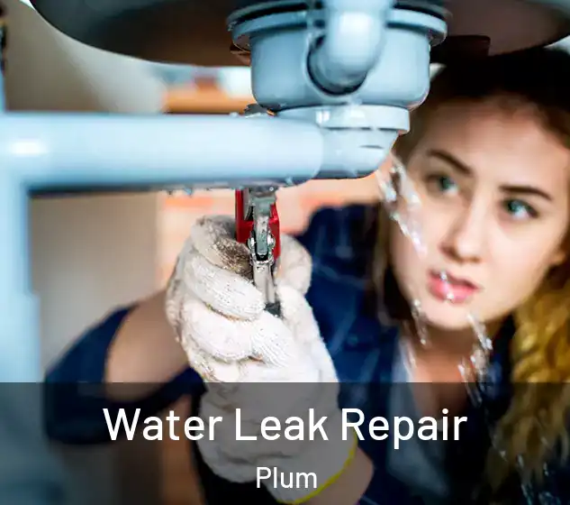  Water Leak Repair Plum