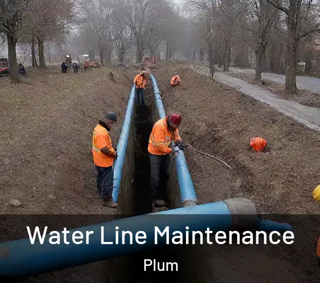 Water Line Maintenance Plum