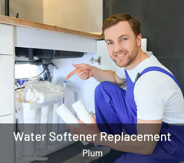  Water Softener Replacement Plum