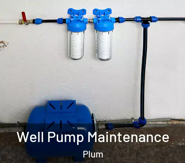 Well Pump Maintenance Plum