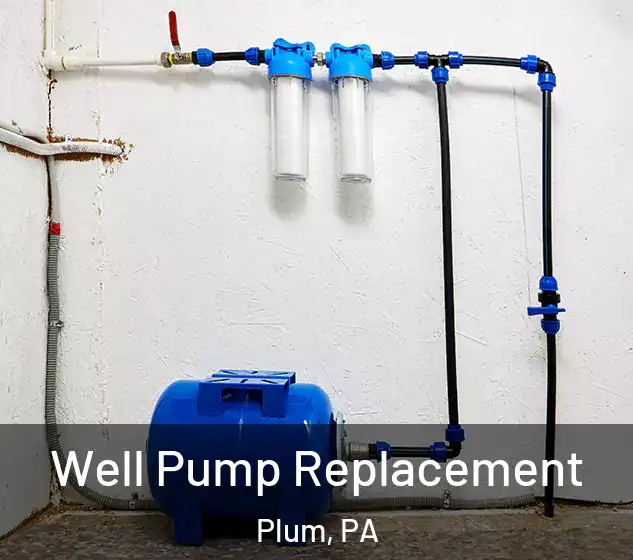  Well Pump Replacement Plum, PA