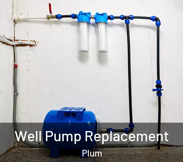  Well Pump Replacement Plum